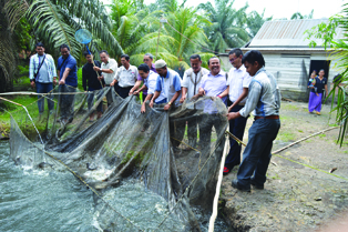 Panen _Ikan _Ramba