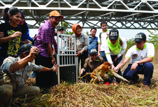 Pertamina _CSR_Bekantan