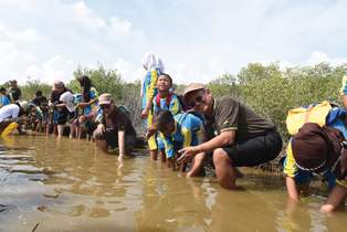 8-nanam Mangrove Balongan