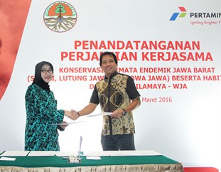 Pertamina _Pertagas _Surili