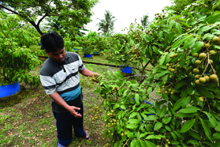 6-CSR-KUN-mengubah Sampah Jd Berkah