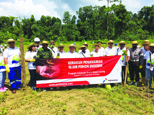 8- RU VII Penanaman Pohon Endemik 10rb Phnkayu Besi